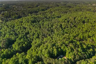 311 Woodland Brook Dr, Canton, GA 30115 - Photo 59