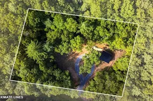 208 McClure Way, Blue Ridge, GA 30513 - Photo 23