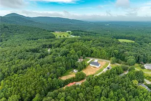 203 Firetower Rd, Jasper, GA 30143 - Photo 9