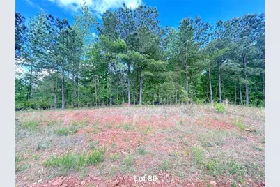 172 Oakdale Way, Temple, GA 30179 - Photo 3