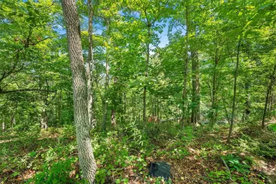 0 Flat Rock Point, Dahlonega, GA 30533 - Photo 9