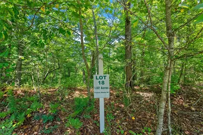 0 Flat Rock Point, Dahlonega, GA 30533 - Photo 7