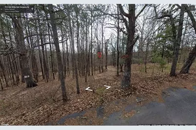 00 Old White Oak Cemetery Road, Dallas, GA 30157 - Photo 3