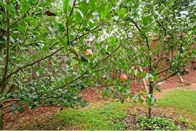414 Alexander Circle SE, Marietta, GA 30060 - Photo 33