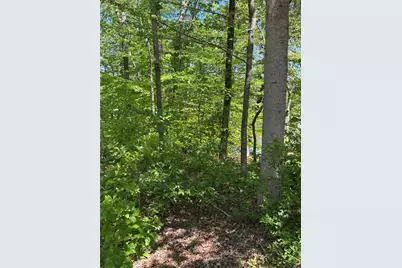 Lot 15 Cross Creek Drive, Toccoa, GA 30577 - Photo 7