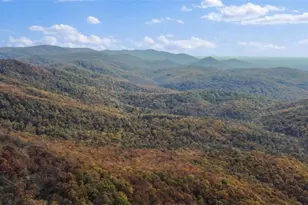 624 High Smt Dr, Talking Rock, GA 30175 - Photo 63