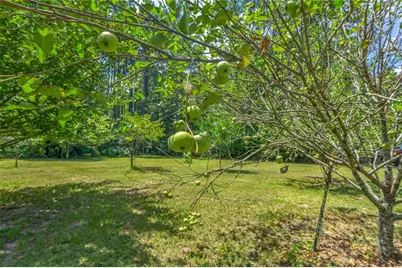 1269 Tarver Road, Davisboro, GA 31018 - Photo 65