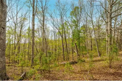 3467 Carver Mill Road, Talking Rock, GA 30175 - Photo 15