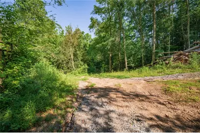 00 Bill Smith Drive, Canton, GA 30114 - Photo 11