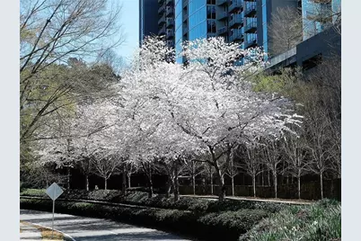 3300 Windy Ridge Parkway SE #1007, Atlanta, GA 30339 - Photo 17