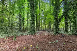 5230 Rosser Rd, Stone Mountain, GA 30087 - Photo 45
