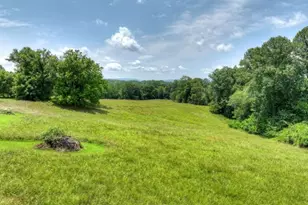 210 La Vista Dr, Blue Ridge, GA 30513 - Photo 5