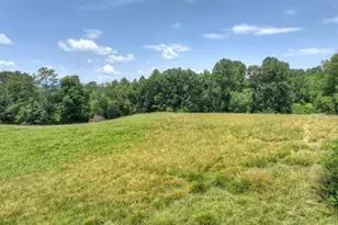 210 La Vista Dr, Blue Ridge, GA 30513 - Photo 53