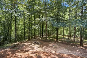 302 Bumpy Trl, Dawsonville, GA 30534 - Photo 61