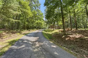 302 Bumpy Trl, Dawsonville, GA 30534 - Photo 67