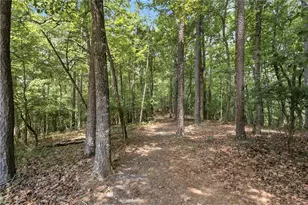 302 Bumpy Trl, Dawsonville, GA 30534 - Photo 67