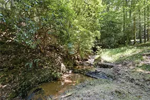 302 Bumpy Trl, Dawsonville, GA 30534 - Photo 69