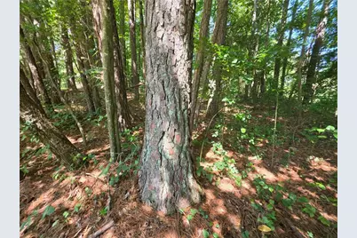 5170 Hurt Bridge Road, Cumming, GA 30028 - Photo 25