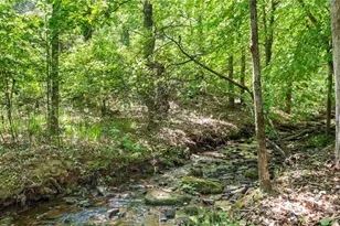 1445 Badingham Dr, Cumming, GA 30041 - Photo 17