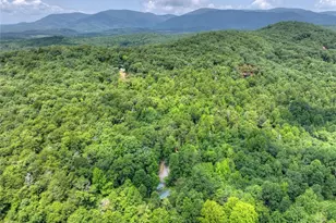 100 Wing Cir, Ellijay, GA 30536 - Photo 49