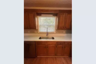 1135 Burning Bush Drive, Loganville, GA 30052 - Photo 21