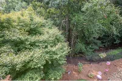 3228 Black Gum Lane SW, Gainesville, GA 30504 - Photo 41