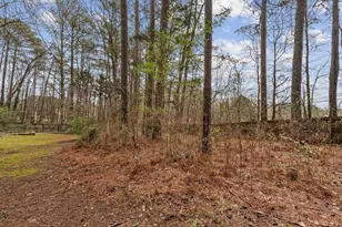 120 Chateau Cir, Fayetteville, GA 30215 - Photo 41