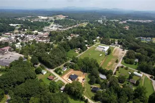 483 Church St, Blue Ridge, GA 30513 - Photo 89