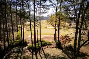 6012 Golf View Crossing, Locust Grove, GA 30248 - Photo 83