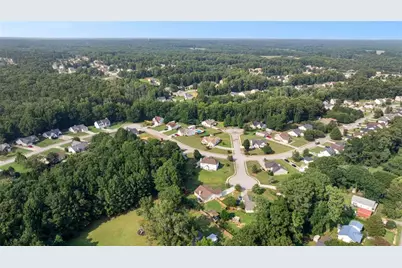 1003 Marsh Court Court, Hampton, GA 30228 - Photo 9