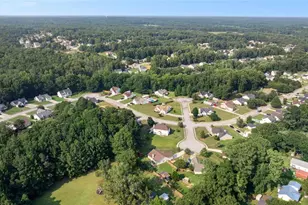 1003 Marsh Ct Ct, Hampton, GA 30228 - Photo 9