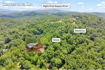 185 Pope Dickson Lane, Clarkesville, GA 30523 - Photo 3