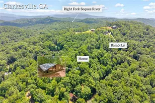 185 Pope Dickson Ln, Clarkesville, GA 30523 - Photo 3