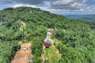 401 Kittatinny Dr, Mineral Bluff, GA 30559 - Photo 63