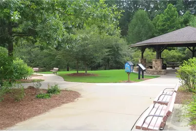 11143 Blackbird Lane, Alpharetta, GA 30022 - Photo 39