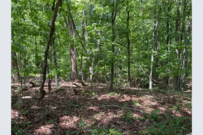 Tr 1A Chalcrest Way, Cave Spring, GA 30124 - Photo 3