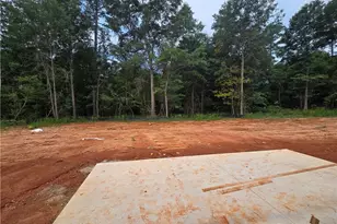 178 Preserve Trail, Lavonia, GA 30553 - Photo 21