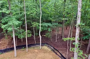 137 Bear Dr, Waleska, GA 30183 - Photo 21