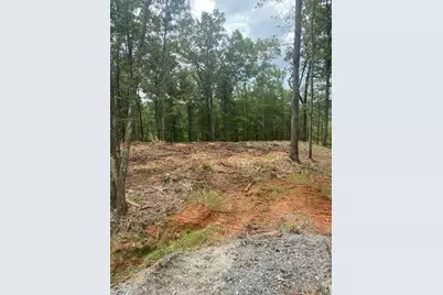 Lot 56 Ridge Line Trail, Ellijay, GA 30540 - Photo 1