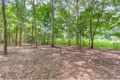 418 Starrs Bridge Road, Canon, GA 30520 - Photo 29