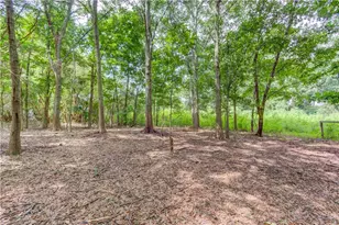 418 Starrs Bridge Rd, Canon, GA 30520 - Photo 29