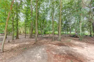 418 Starrs Bridge Rd, Canon, GA 30520 - Photo 31