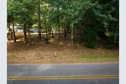 220 Flamingo Drive, Monticello, GA 31064 - Photo 3