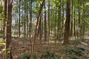 5334 Pounds Dr N, Stone Mountain, GA 30087 - Photo 5