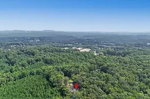 295 Josie Ln, Canton, GA 30114 - Photo 69