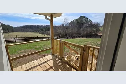812 Bessie Lane, Ball Ground, GA 30107 - Photo 31