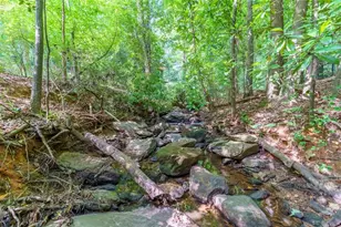759 Riverhill Dr, Athens, GA 30606 - Photo 85
