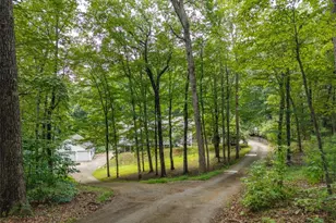 387 Leonard Evans Rd, Ellijay, GA 30540 - Photo 61