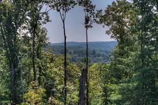 1567 Hap Holt Rd, Ellijay, GA 30540 - Photo 5