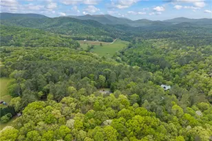 435 Dogwood Way, Blue Ridge, GA 30513 - Photo 75